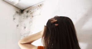 Tyto signály vám prozradí nesprávně zateplení střechy – vyhněte se jim
