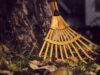 Zahrada v září a říjnu: co stihnout, než přijdou první mrazy